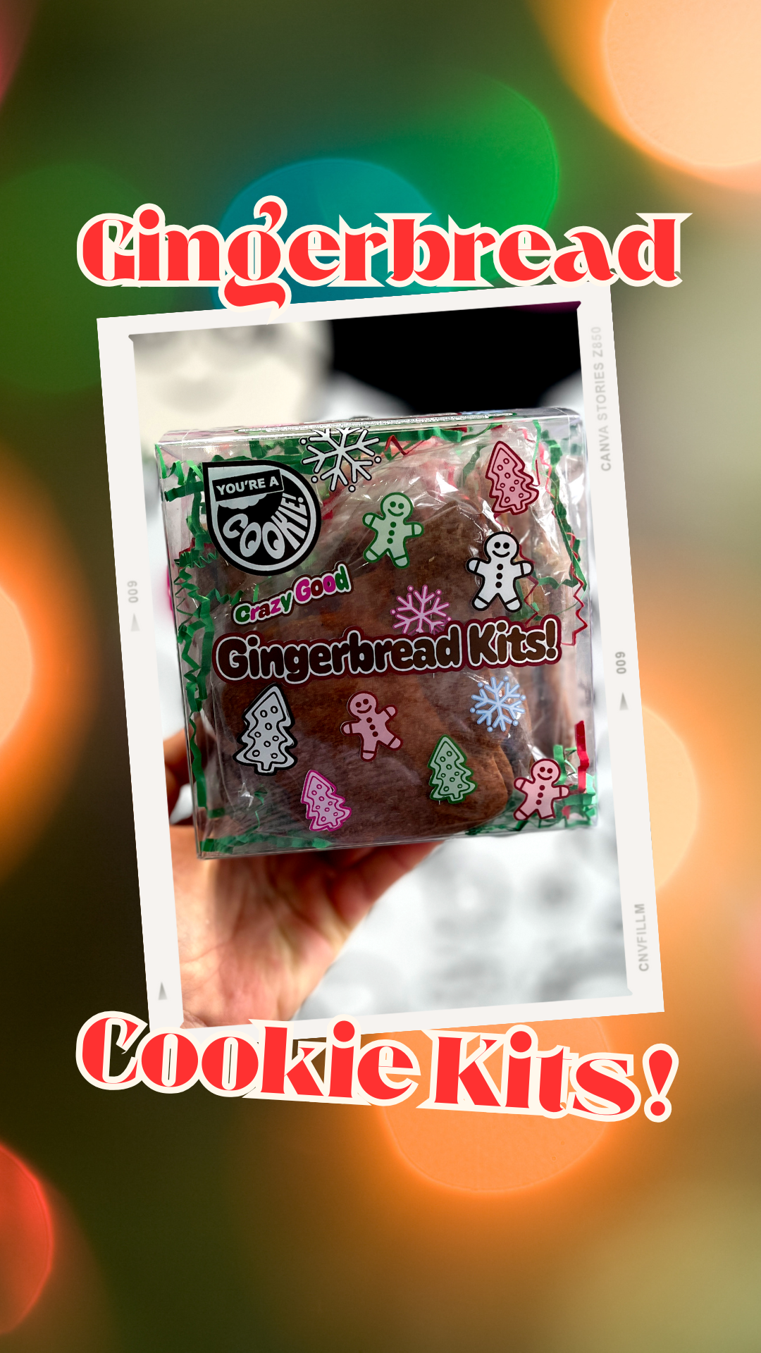 Gingerbread Cookie Kit